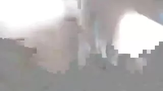مشکل آخر میں بدل جاتا ہے ٹرپل ایکس ویڈیو ایچ ڈی ڈک چوسنے کی عادت کے ساتھ Chayse ، ایونز